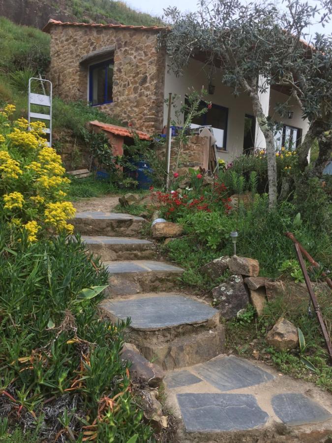 Guest Room Agro-Turismo Quinta Da Fonte Bed&Breakfast Figueiro Dos Vinhos Εξωτερικό φωτογραφία