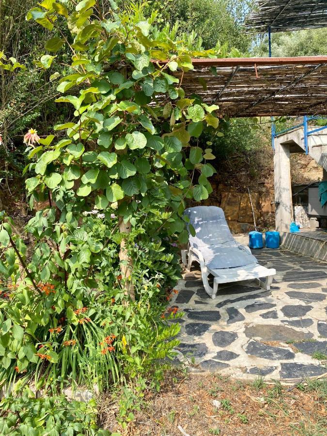 Guest Room Agro-Turismo Quinta Da Fonte Bed&Breakfast Figueiro Dos Vinhos Εξωτερικό φωτογραφία