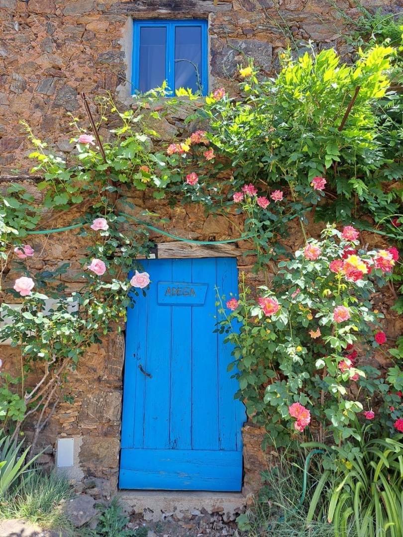 Guest Room Agro-Turismo Quinta Da Fonte Bed&Breakfast Figueiro Dos Vinhos Εξωτερικό φωτογραφία