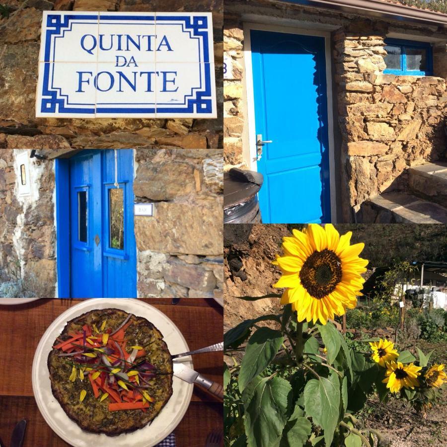 Guest Room Agro-Turismo Quinta Da Fonte Bed&Breakfast Figueiro Dos Vinhos Εξωτερικό φωτογραφία