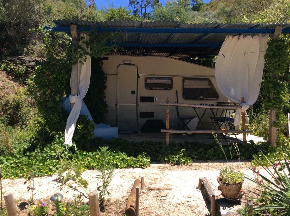 Guest Room Agro-Turismo Quinta Da Fonte Bed&Breakfast Figueiro Dos Vinhos Εξωτερικό φωτογραφία