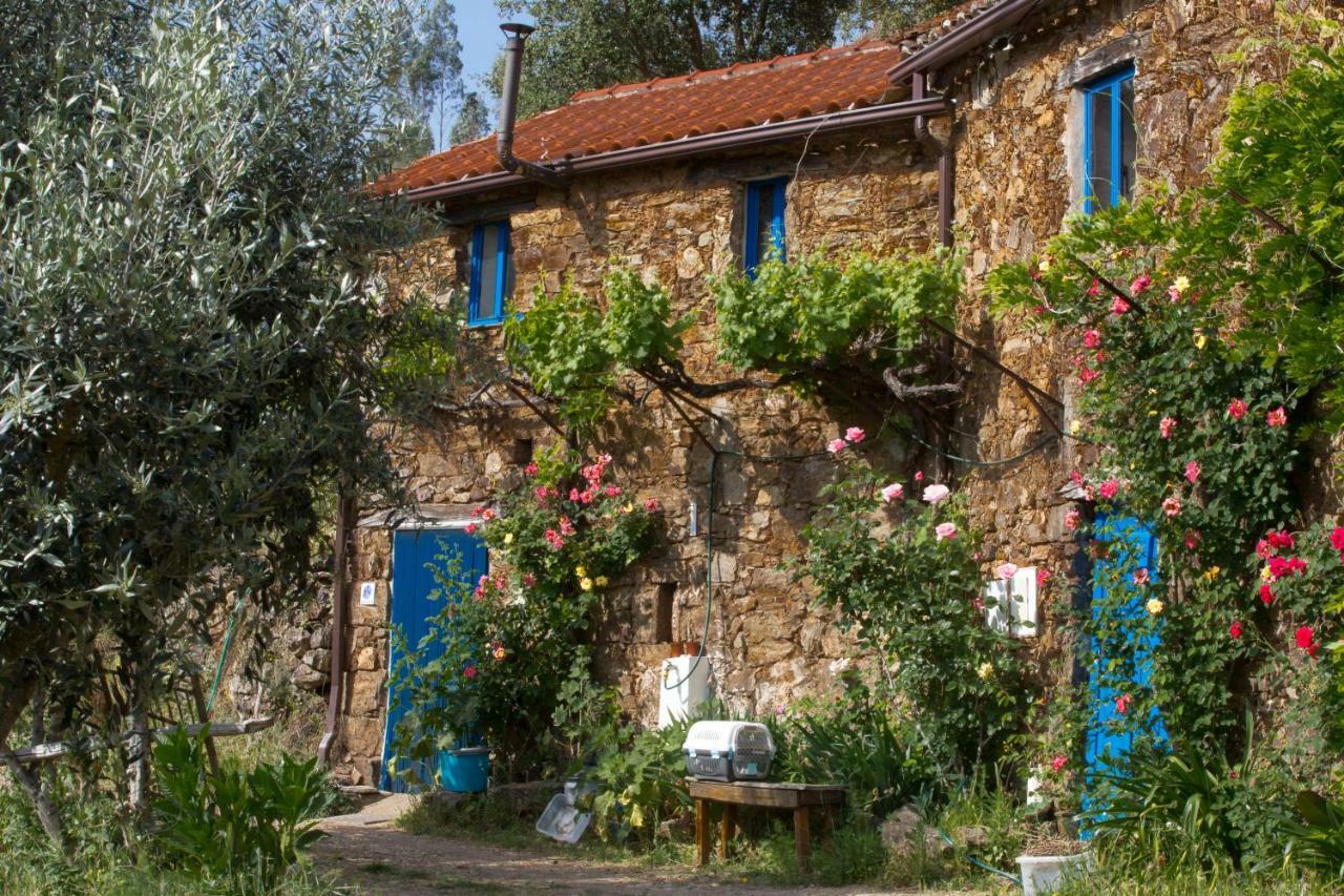 Guest Room Agro-Turismo Quinta Da Fonte Bed&Breakfast Figueiro Dos Vinhos Εξωτερικό φωτογραφία